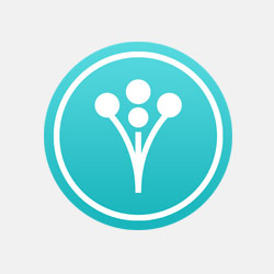 WeddingWire Vendor Reviews Service