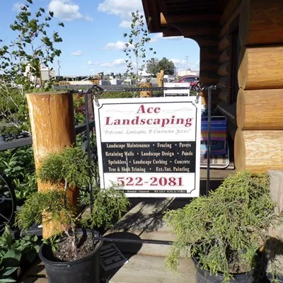 Ace Landscaping logo