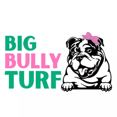Big Bully Turf logo