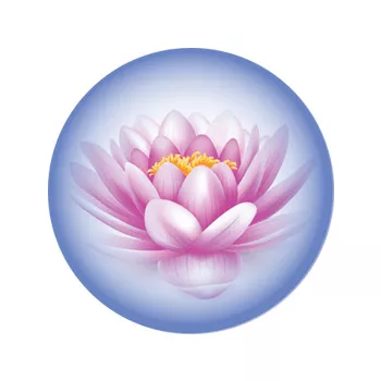Sedona MediSpa & Wellness logo