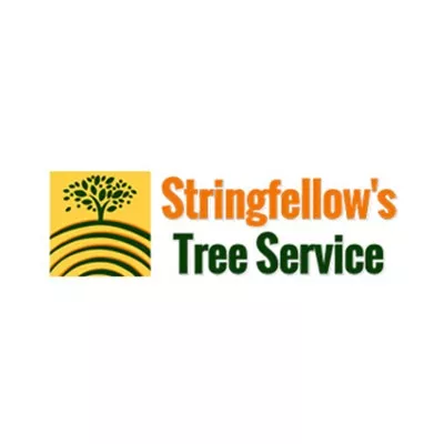 Stringfellow’s Tree Service logo