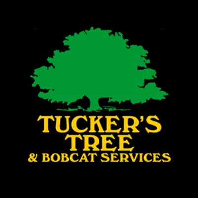 Tucker's Tree & Bobcat Services  logo