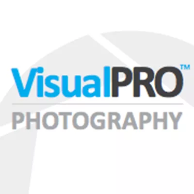 VisualPRO logo